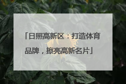 日照高新区：打造体育品牌，擦亮高新名片