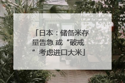 日本：储备米存量告急 或“破戒”考虑进口大米
