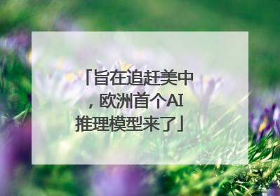 旨在追赶美中，欧洲首个AI推理模型来了
