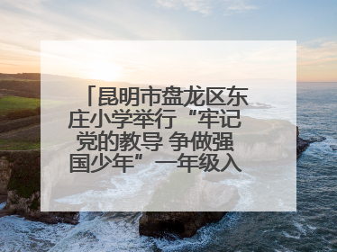 昆明市盘龙区东庄小学举行“牢记党的教导 争做强国少年”一年级入队仪式