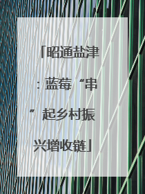 昭通盐津：蓝莓“串”起乡村振兴增收链