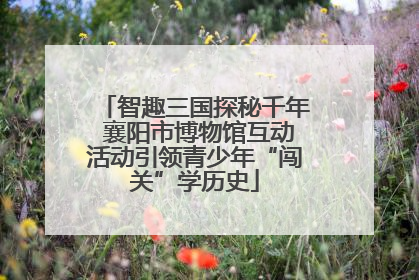 智趣三国探秘千年 襄阳市博物馆互动活动引领青少年“闯关”学历史