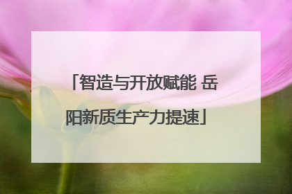 智造与开放赋能 岳阳新质生产力提速