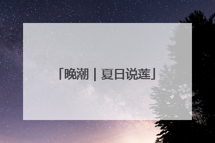 晚潮｜夏日说莲