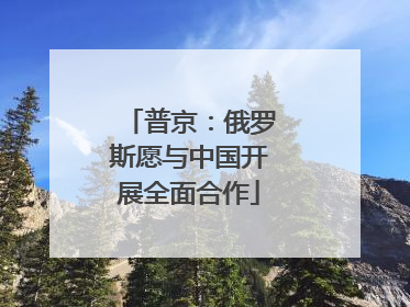 普京：俄罗斯愿与中国开展全面合作