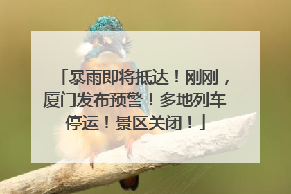 暴雨即将抵达！刚刚，厦门发布预警！多地列车停运！景区关闭！
