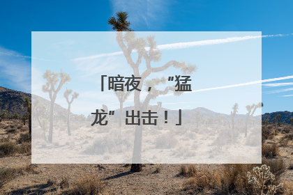 暗夜，“猛龙”出击！