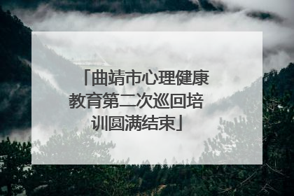 曲靖市心理健康教育第二次巡回培训圆满结束