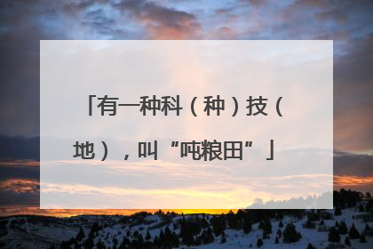 有一种科（种）技（地），叫“吨粮田”