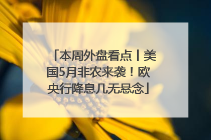 本周外盘看点丨美国5月非农来袭！欧央行降息几无悬念