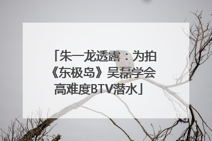 朱一龙透露：为拍《东极岛》吴磊学会高难度BTV潜水
