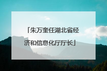 朱万奎任湖北省经济和信息化厅厅长