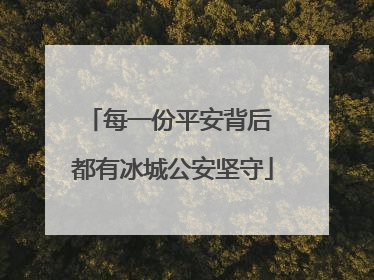 每一份平安背后 都有冰城公安坚守