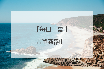 每日一景丨 古筝新韵