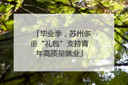 毕业季，苏州多重“礼包”支持青年高质量就业