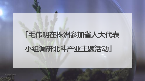 毛伟明在株洲参加省人大代表小组调研北斗产业主题活动
