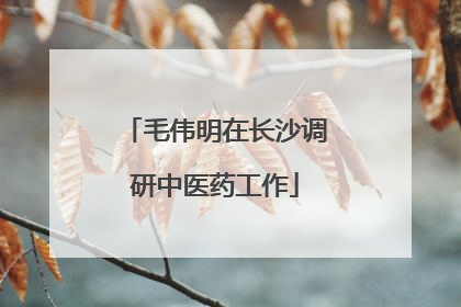 毛伟明在长沙调研中医药工作