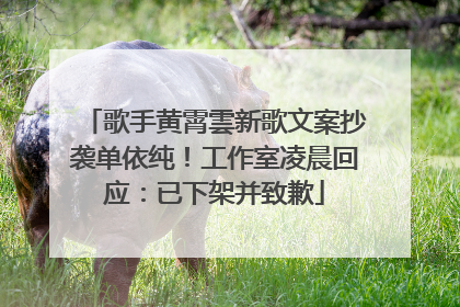 歌手黄霄雲新歌文案抄袭单依纯！工作室凌晨回应：已下架并致歉