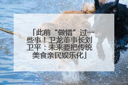 此前“做错”过一些事！卫龙董事长刘卫平：未来要把传统美食亲民娱乐化