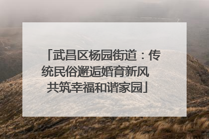 武昌区杨园街道：传统民俗邂逅婚育新风 共筑幸福和谐家园
