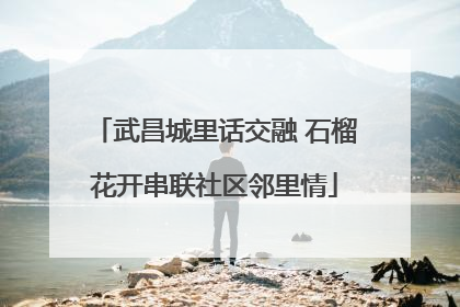 武昌城里话交融 石榴花开串联社区邻里情