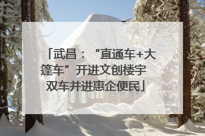 武昌：“直通车+大篷车”开进文创楼宇 双车并进惠企便民