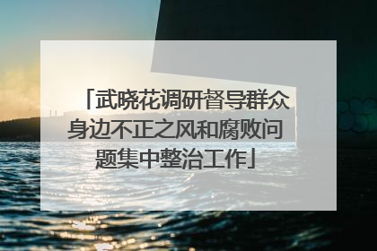武晓花调研督导群众身边不正之风和腐败问题集中整治工作