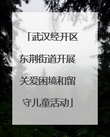 武汉经开区东荆街道开展关爱困境和留守儿童活动