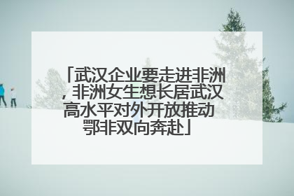 武汉企业要走进非洲，非洲女生想长居武汉 高水平对外开放推动鄂非双向奔赴