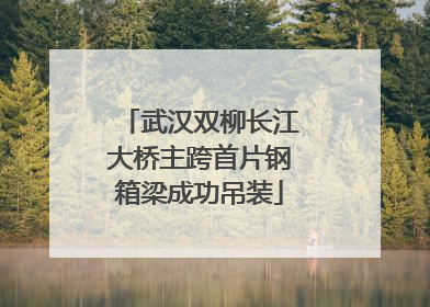 武汉双柳长江大桥主跨首片钢箱梁成功吊装