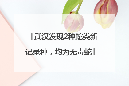 武汉发现2种蛇类新记录种，均为无毒蛇