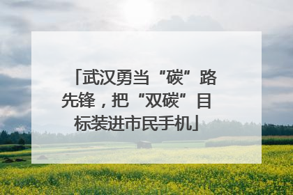 武汉勇当“碳”路先锋，把“双碳”目标装进市民手机