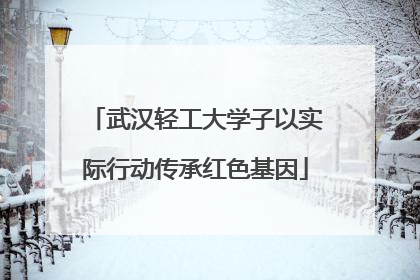 武汉轻工大学子以实际行动传承红色基因