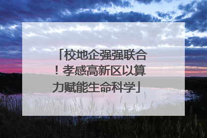 校地企强强联合！孝感高新区以算力赋能生命科学