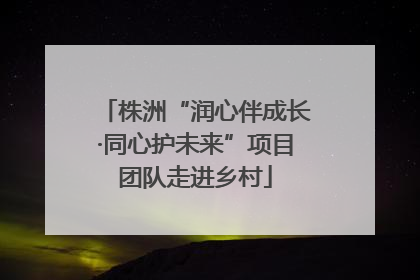 株洲“润心伴成长·同心护未来”项目团队走进乡村