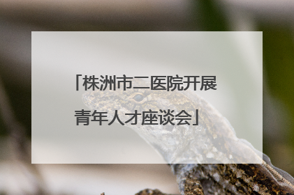 株洲市二医院开展青年人才座谈会