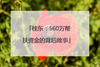 桂东：560万帮扶资金的背后故事