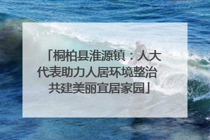 桐柏县淮源镇：人大代表助力人居环境整治 共建美丽宜居家园