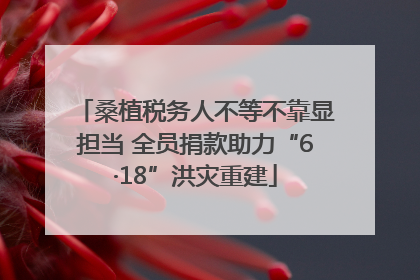 桑植税务人不等不靠显担当 全员捐款助力“6·18”洪灾重建