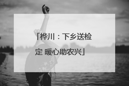 桦川：下乡送检定 暖心助农兴
