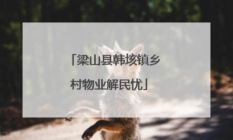 梁山县韩垓镇乡村物业解民忧
