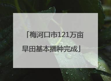 梅河口市121万亩旱田基本播种完成