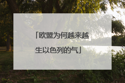 欧盟为何越来越生以色列的气