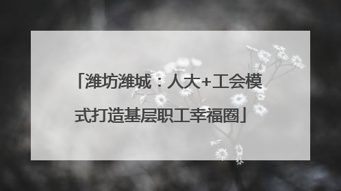 潍坊潍城：人大+工会模式打造基层职工幸福圈