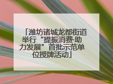 潍坊诸城龙都街道举行“提振消费·助力发展”首批示范单位授牌活动