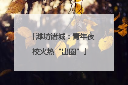 潍坊诸城：青年夜校火热“出圈”