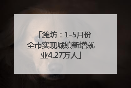 潍坊：1-5月份全市实现城镇新增就业4.27万人