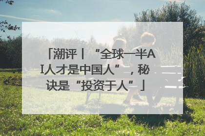 潮评丨“全球一半AI人才是中国人”，秘诀是“投资于人”
