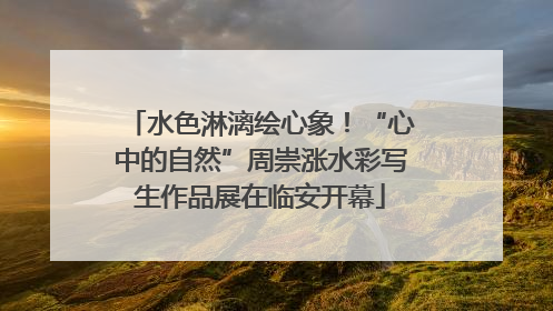 水色淋漓绘心象！“心中的自然”周崇涨水彩写生作品展在临安开幕