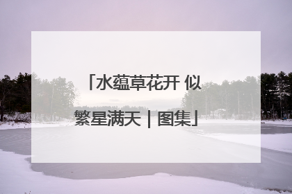 水蕴草花开 似繁星满天｜图集
